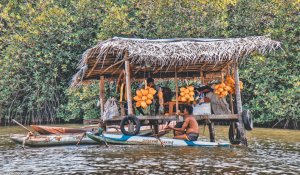 Madu Ganga Boat Safari