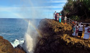 Blowhole